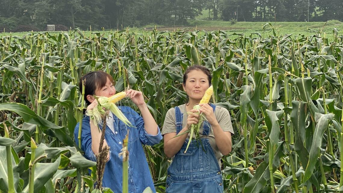 十勝で楽しむ「トウモロコシの早朝の収穫」。サウナやBBQもつけ、高単価&高付加価値な観光メニューとなった(右が永谷亜矢子さん/写真:永谷さん提供)