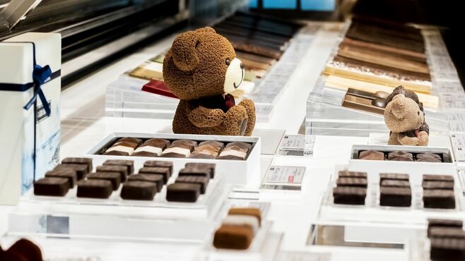 クマ型チョコが大人気｢カカオサンパカ｣の戦略